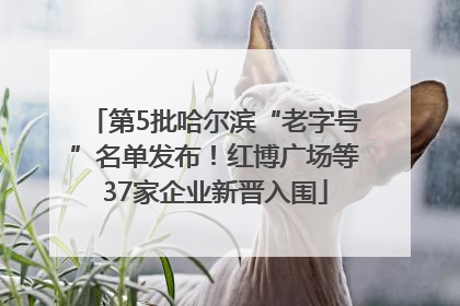 第5批哈尔滨“老字号”名单发布！红博广场等37家企业新晋入围