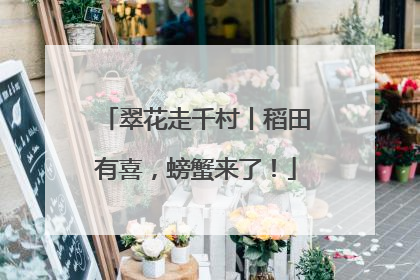 翠花走千村丨稻田有喜，螃蟹来了！