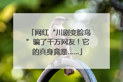 网红“川剧变脸鸟”骗了千万网友！它的真身竟是……
