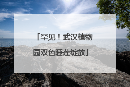 罕见！武汉植物园双色睡莲绽放