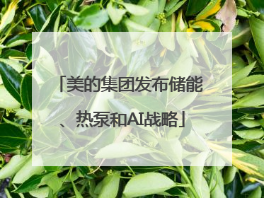 美的集团发布储能、热泵和AI战略