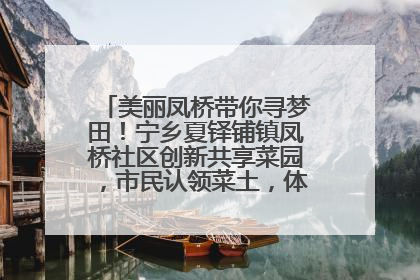 美丽凤桥带你寻梦田！宁乡夏铎铺镇凤桥社区创新共享菜园，市民认领菜土，体验耕种收获乐趣