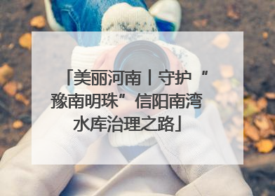 美丽河南丨守护“豫南明珠”信阳南湾水库治理之路