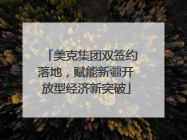 美克集团双签约落地，赋能新疆开放型经济新突破