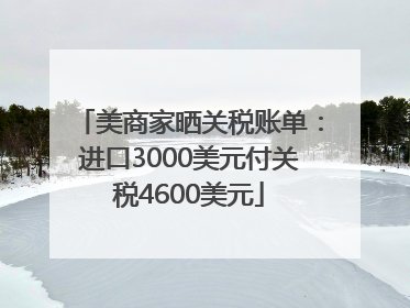 美商家晒关税账单：进口3000美元付关税4600美元