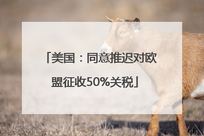 美国：同意推迟对欧盟征收50%关税