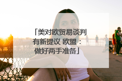 美对欧贸易谈判有新提议 欧盟：做好两手准备