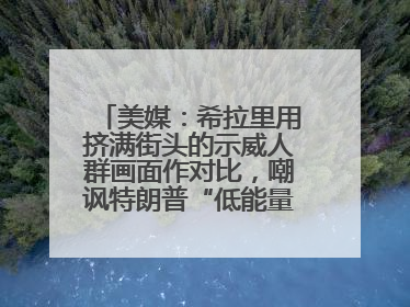 美媒：希拉里用挤满街头的示威人群画面作对比，嘲讽特朗普“低能量”阅兵式观众少