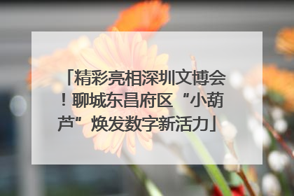 精彩亮相深圳文博会！聊城东昌府区“小葫芦”焕发数字新活力