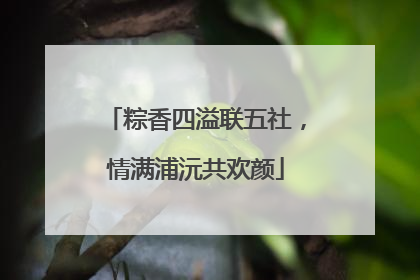 粽香四溢联五社，情满浦沅共欢颜