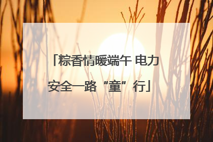 粽香情暖端午 电力安全一路“童”行