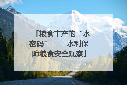 粮食丰产的“水密码”——水利保障粮食安全观察