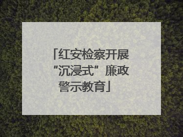 红安检察开展“沉浸式”廉政警示教育