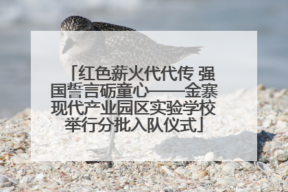 红色薪火代代传 强国誓言砺童心——金寨现代产业园区实验学校举行分批入队仪式