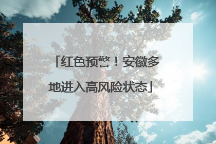 红色预警！安徽多地进入高风险状态