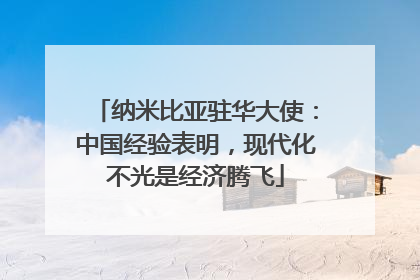 纳米比亚驻华大使：中国经验表明，现代化不光是经济腾飞