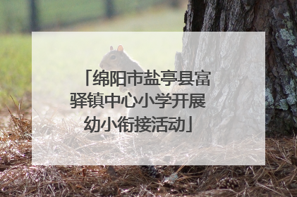 绵阳市盐亭县富驿镇中心小学开展幼小衔接活动
