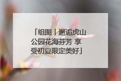 组图丨邂逅虎山公园花海芬芳 享受初夏限定美好