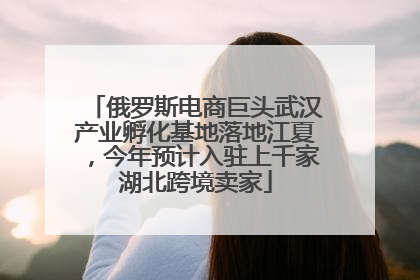 俄罗斯电商巨头武汉产业孵化基地落地江夏，今年预计入驻上千家湖北跨境卖家