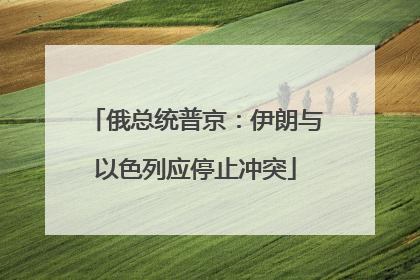 俄总统普京：伊朗与以色列应停止冲突