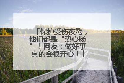 保护受伤夜鹭，他们都是“热心肠”！网友：做好事真的会很开心！