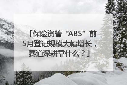 保险资管“ABS”前5月登记规模大幅增长，赛道深耕靠什么？