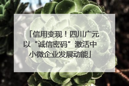 信用变现！四川广元以“诚信密码”激活中小微企业发展动能
