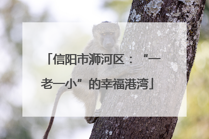 信阳市浉河区：“一老一小”的幸福港湾