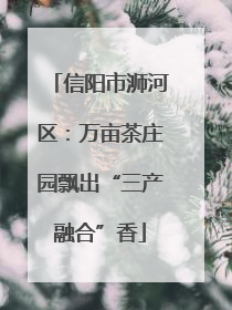 信阳市浉河区：万亩茶庄园飘出“三产融合”香