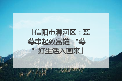 信阳市浉河区：蓝莓串起致富链 “莓”好生活入画来