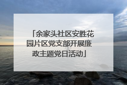 余家头社区安胜花园片区党支部开展廉政主题党日活动