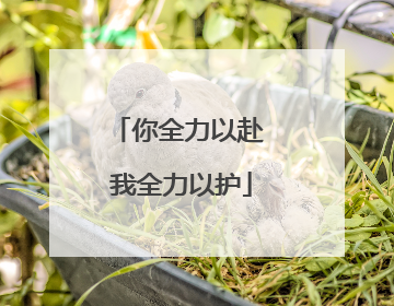 你全力以赴 我全力以护