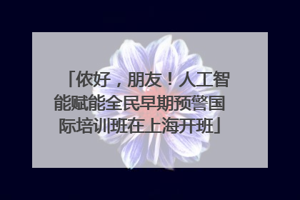 侬好，朋友！人工智能赋能全民早期预警国际培训班在上海开班