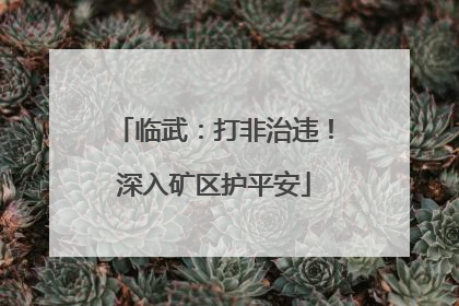 临武：打非治违！深入矿区护平安