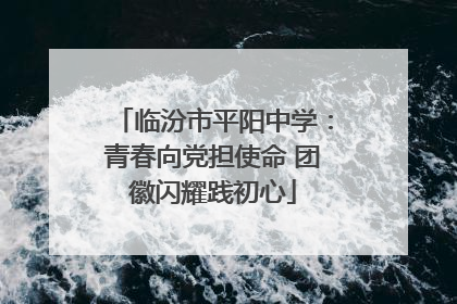 临汾市平阳中学：青春向党担使命 团徽闪耀践初心