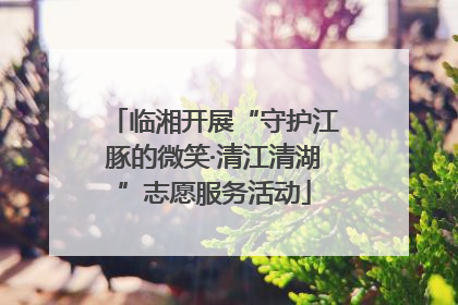 临湘开展“守护江豚的微笑·清江清湖”志愿服务活动