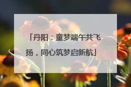 丹阳：童梦端午共飞扬，同心筑梦启新航