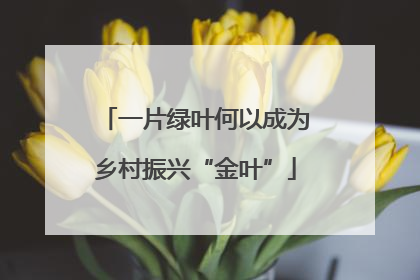 一片绿叶何以成为乡村振兴“金叶”