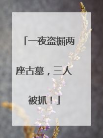 一夜盗掘两座古墓，三人被抓！