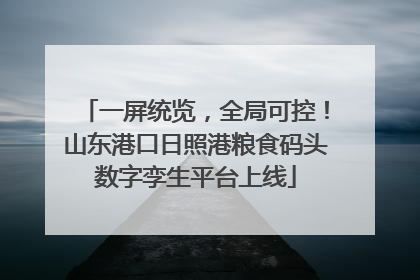 一屏统览，全局可控！山东港口日照港粮食码头数字孪生平台上线