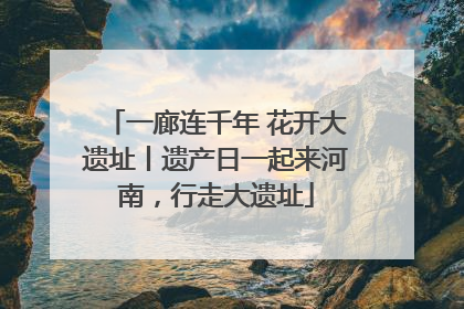一廊连千年 花开大遗址丨遗产日一起来河南，行走大遗址