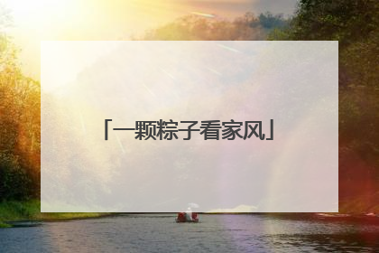 一颗粽子看家风