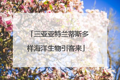三亚亚特兰蒂斯多样海洋生物引客来