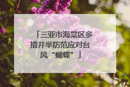 三亚市海棠区多措并举防范应对台风“蝴蝶”