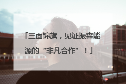 三面锦旗，见证振森能源的“非凡合作”！