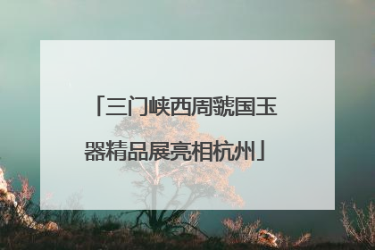 三门峡西周虢国玉器精品展亮相杭州