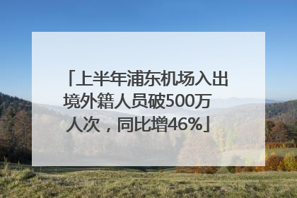 上半年浦东机场入出境外籍人员破500万人次，同比增46%