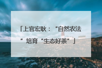上官宏耿：“自然农法”培育“生态好茶”