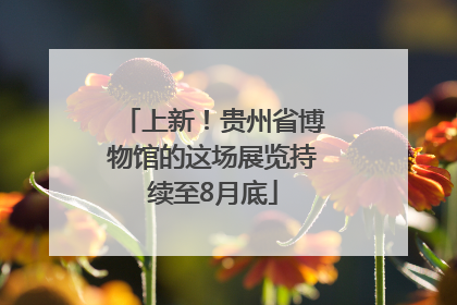 上新！贵州省博物馆的这场展览持续至8月底
