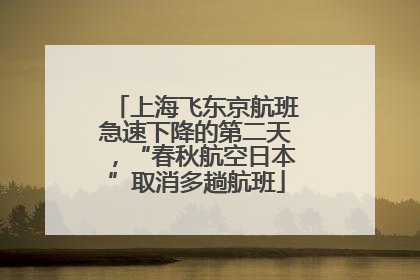 上海飞东京航班急速下降的第二天，“春秋航空日本”取消多趟航班